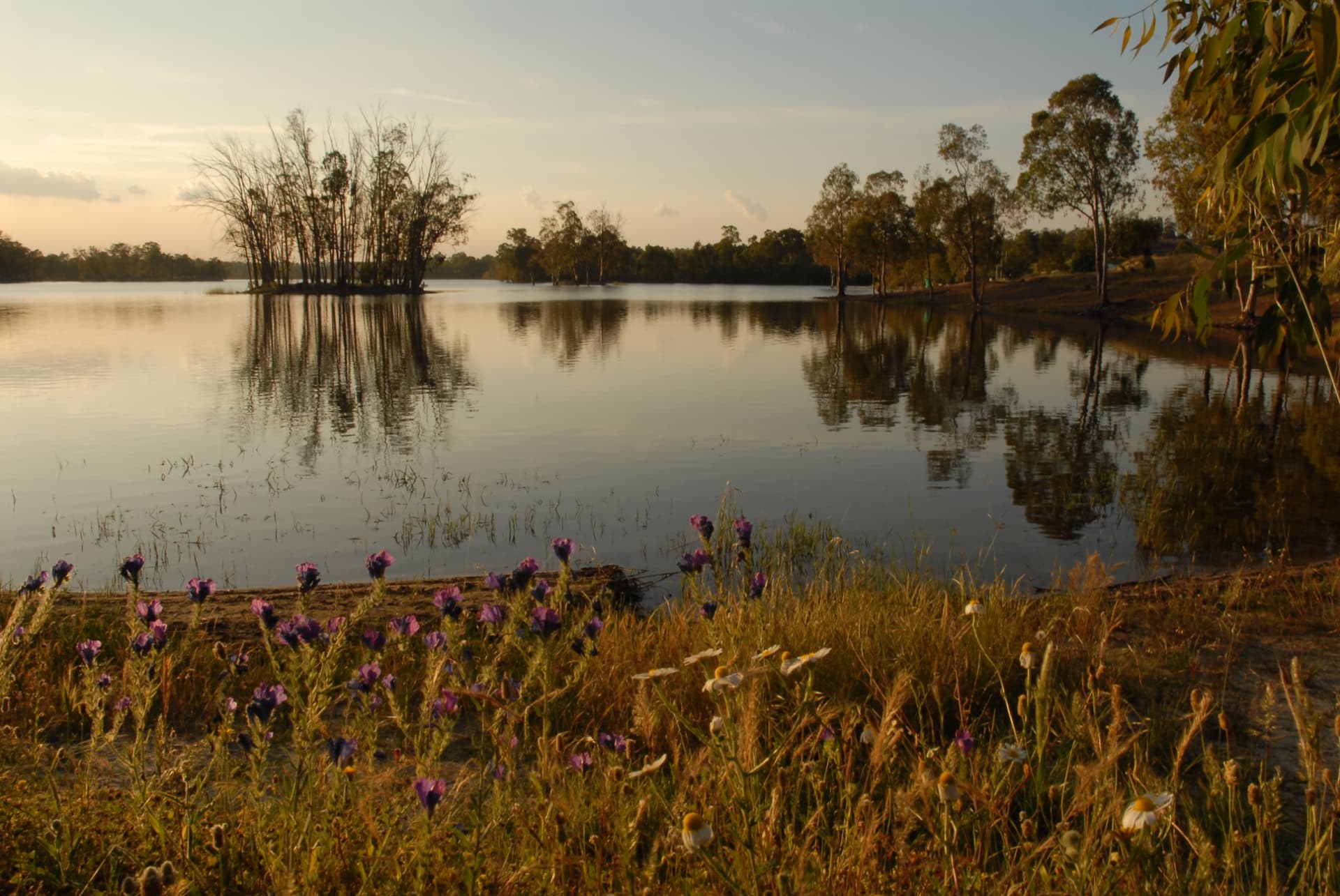 Paisagem serena da Tapada Grande com água calma e vegetação nas margens